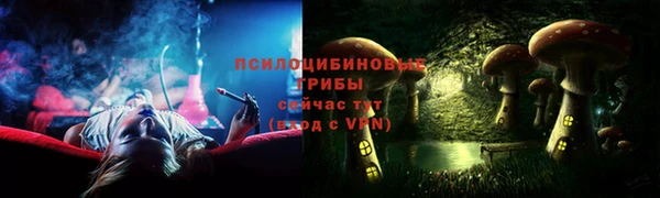 молекула духа Заводоуковск