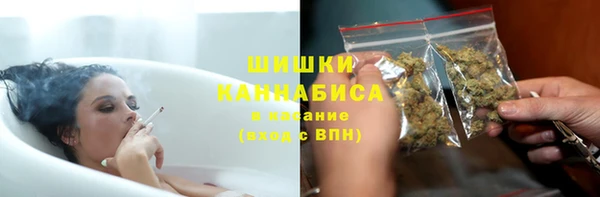 молекула духа Заводоуковск