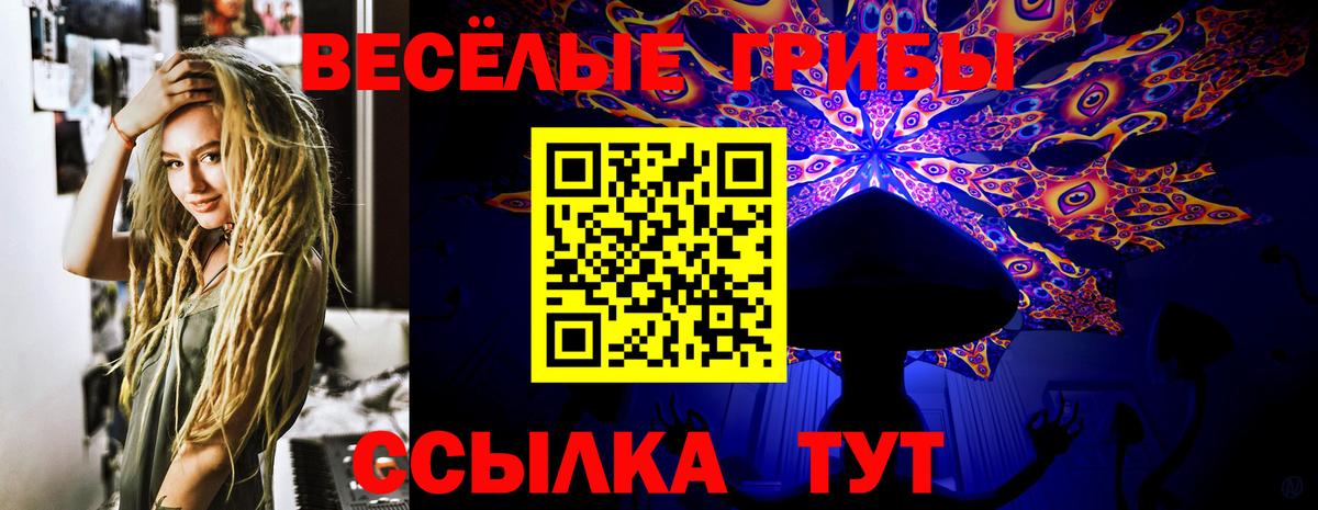 Галлюциногенные грибы Cubensis Зима