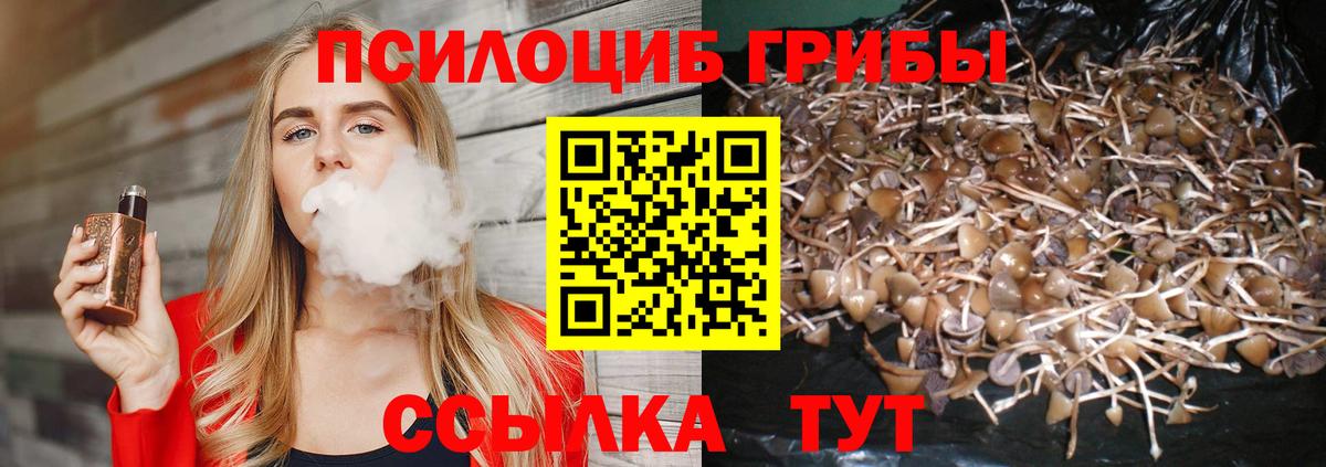 Галлюциногенные грибы Psilocybine cubensis Зима