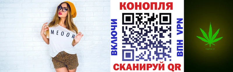 Каннабис план  Купить где  Зима 